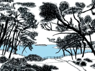 Nicolas Velebit