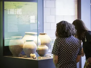 © Céline Michel - MRV