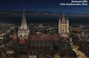 © Ville de Lausanne © Ville de Lausanne