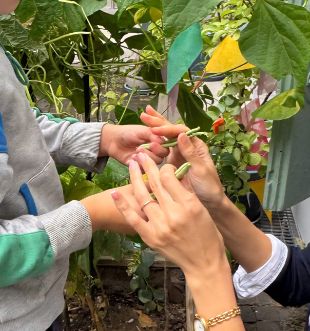 © Ville de Lausanne