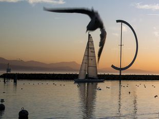 © Marino Trotta – Ville de Lausanne © Marino Trotta – Ville de Lausanne