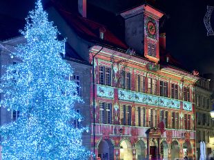 © Laurent Kaczor © Laurent Kaczor