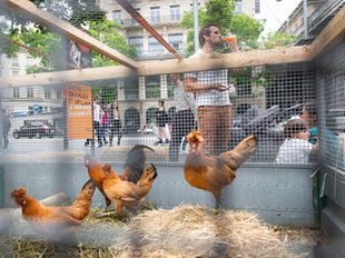 © Spadom – Ville de Lausanne © Spadom – Ville de Lausanne