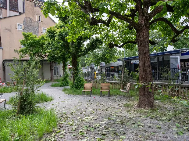 Description de l'image