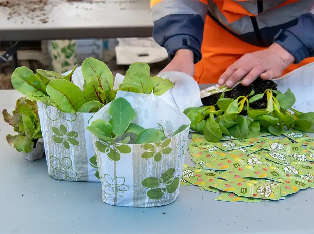 Description de l'image