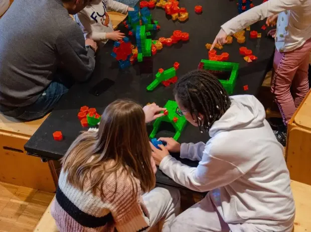 Description de l'image