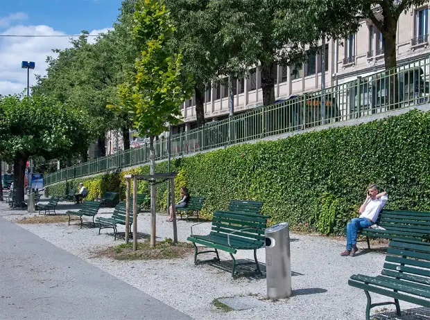 Description de l'image