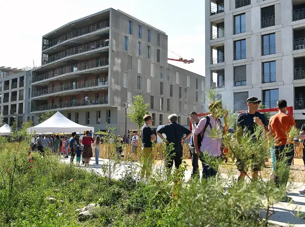 Description de l'image