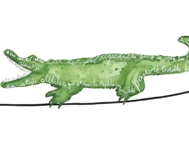 Description de l'image