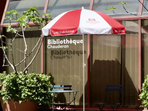 Description de l'image