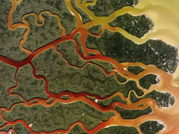 Description de l'image