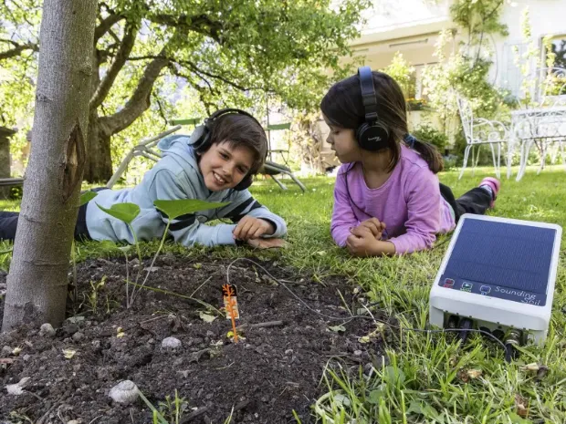 Description de l'image