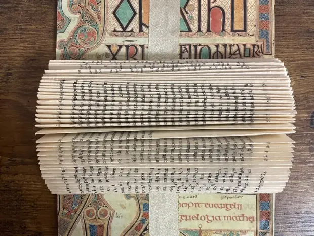 Description de l'image