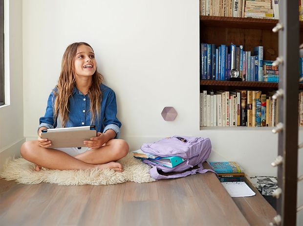 Description de l'image