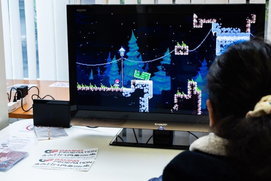 © Ville de Lausanne - Oliver Galitch