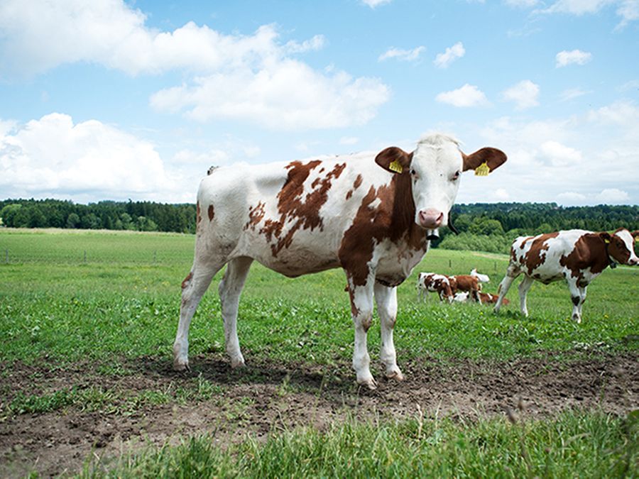 © Sarah Carp – Ville de Lausanne