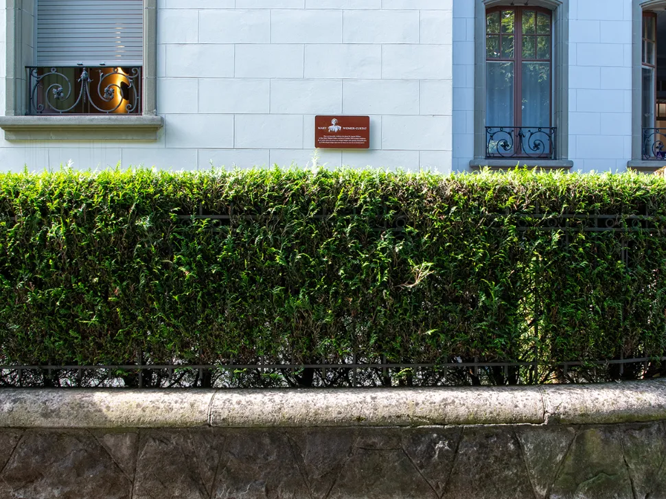 &copy; Mathilde Imesch – Ville de Lausanne