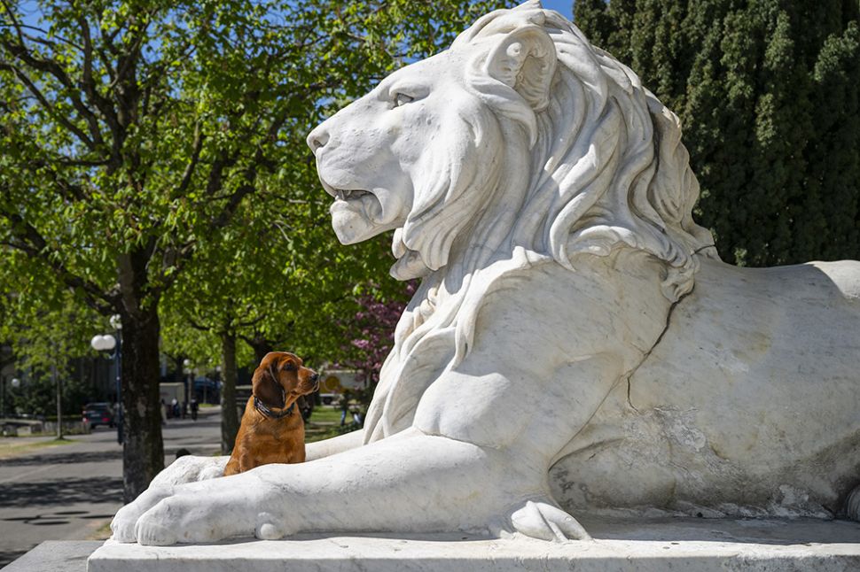 &copy; Police Municipale de Lausanne