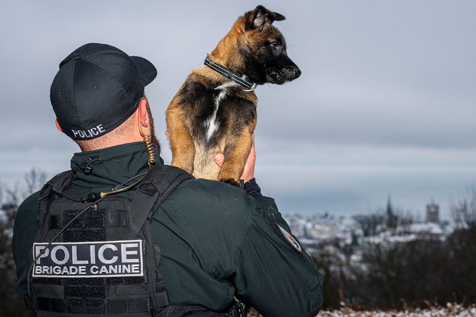 &copy; Police Municipale de Lausanne