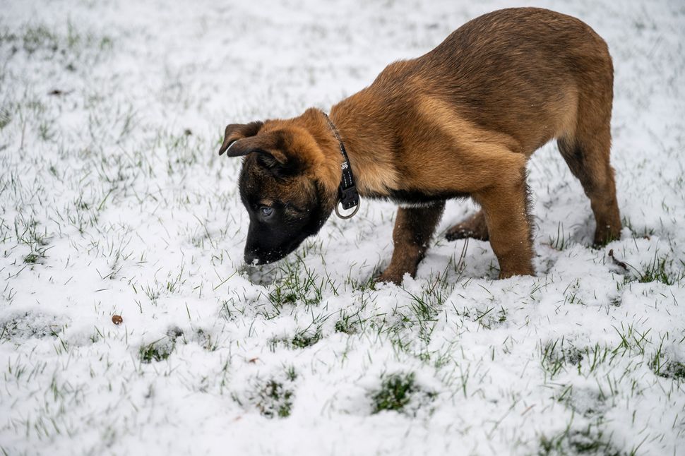 &copy; Police Municipale de Lausanne
