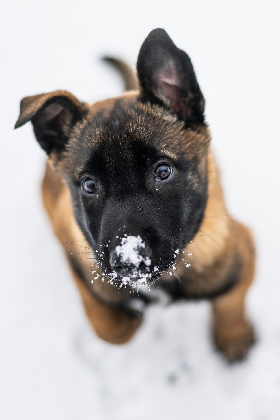 &copy; Police Municipale de Lausanne