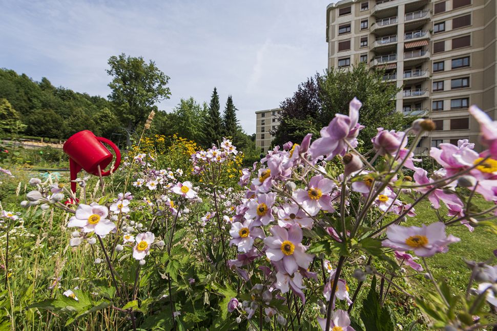 © Ville de Lausanne