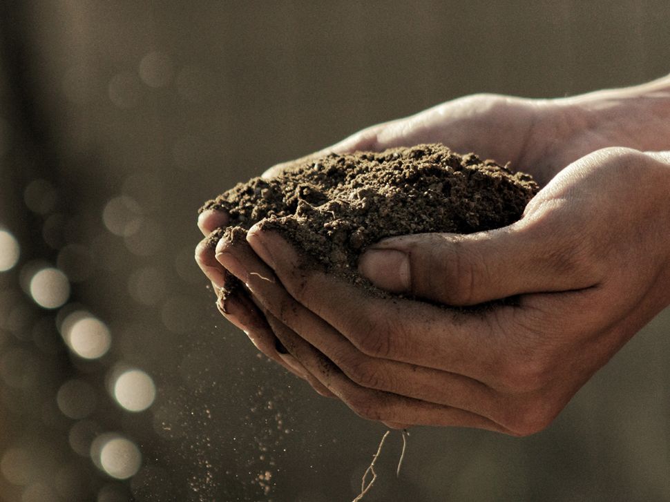 © Photo by Gabriel Jiménez on Unsplash