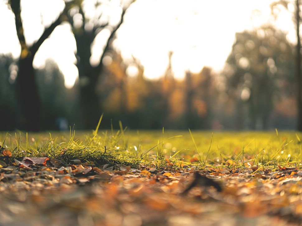 © Photo by JuniperPhoton on Unsplash