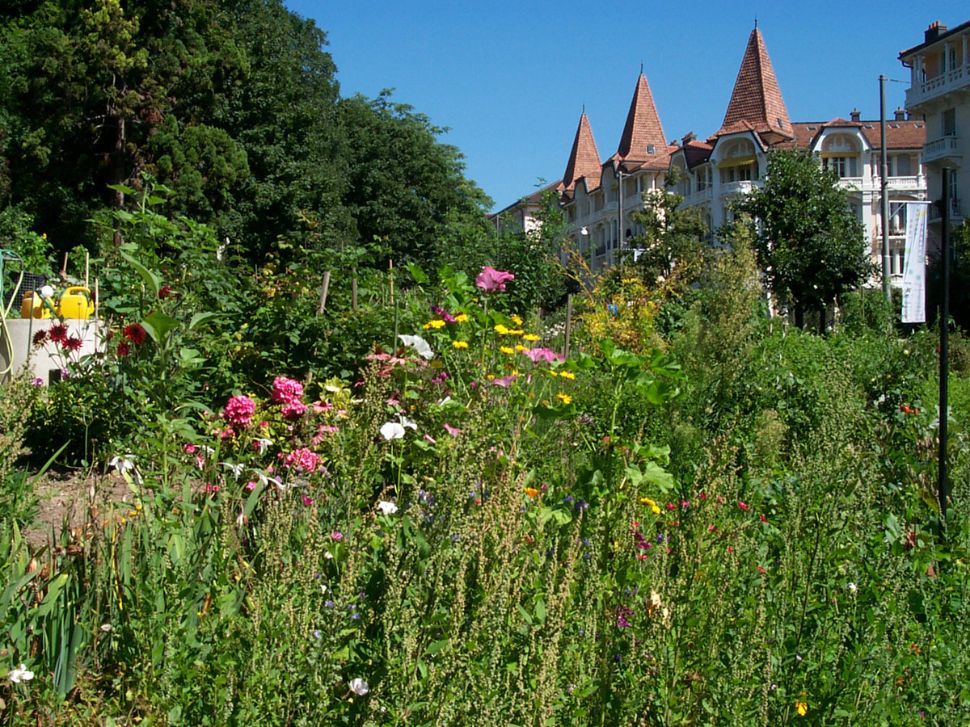 © Neil Labrador – Ville de Lausanne