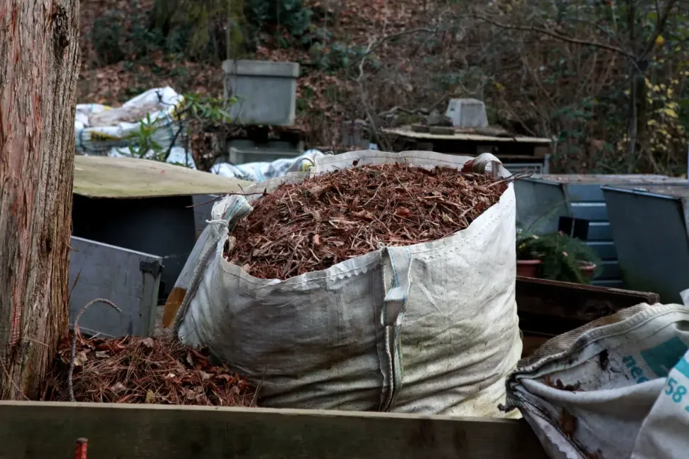 &copy; Alexandre Almirall - Ville de Lausanne