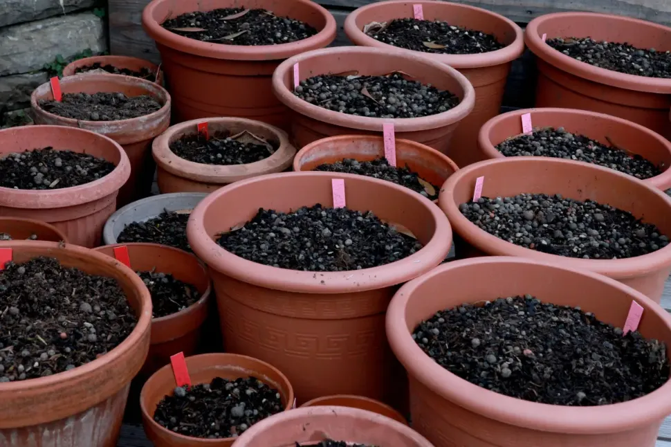 &copy; Alexandre Almirall - Ville de Lausanne