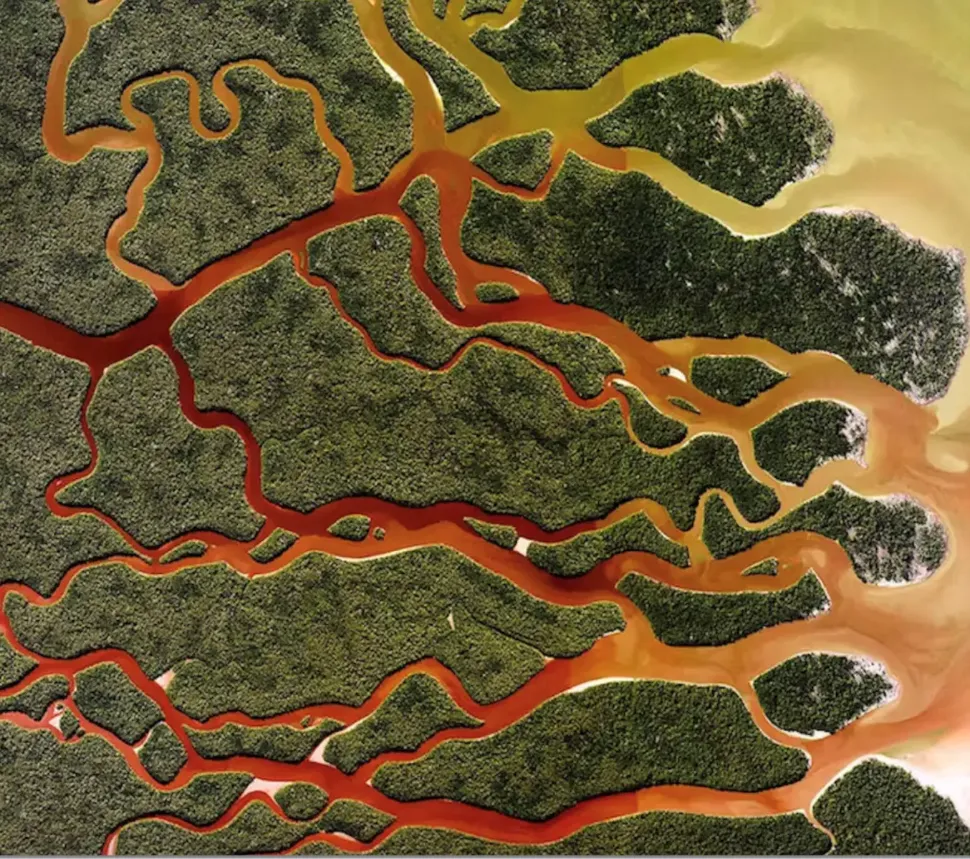 © Droits réservés