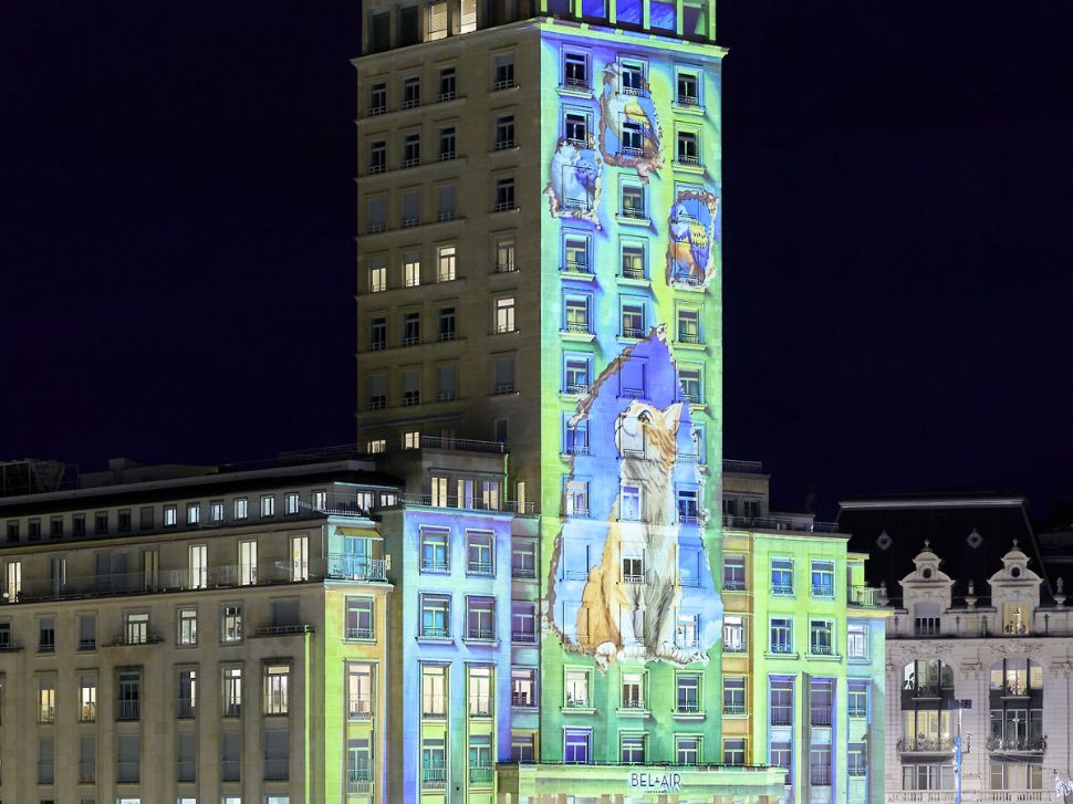 © Laurent Kaczor © Laurent Kaczor