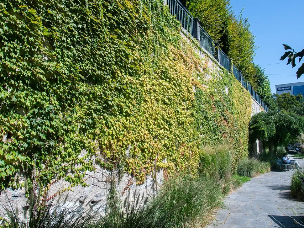 © Mathilde Imesch – Ville de Lausanne