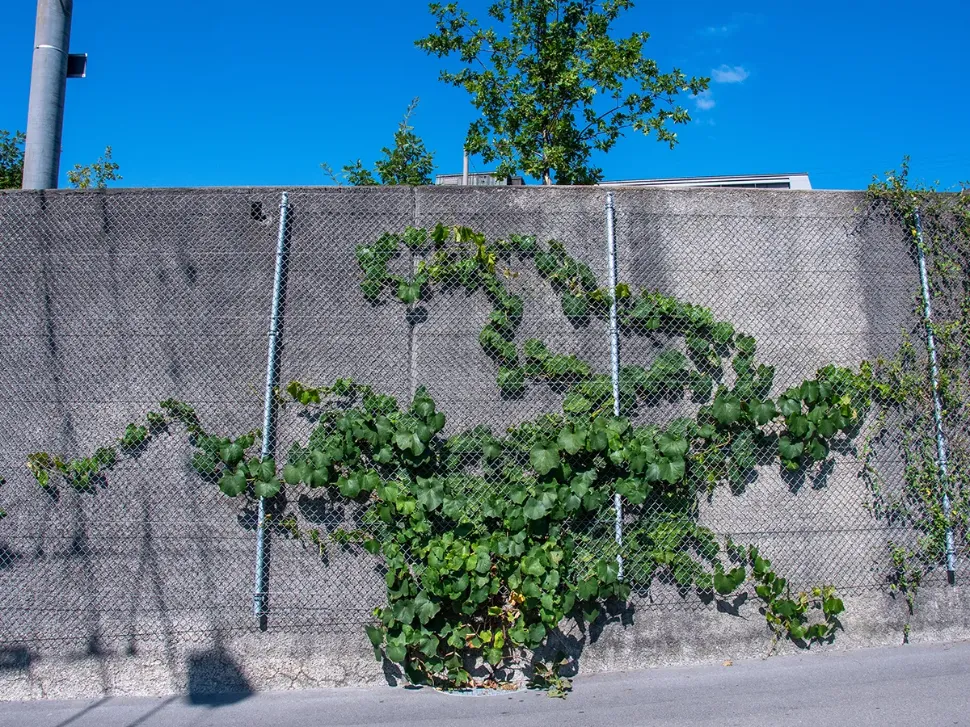© Mathilde Imesch – Ville de Lausanne