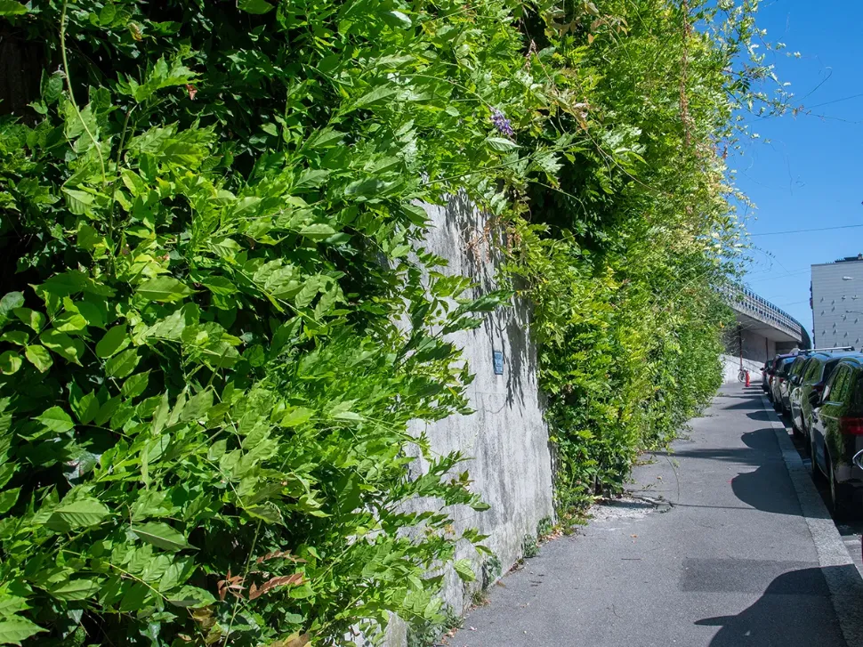 © Mathilde Imesch – Ville de Lausanne
