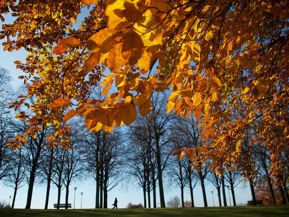 © Marino Trotta – Ville de Lausanne