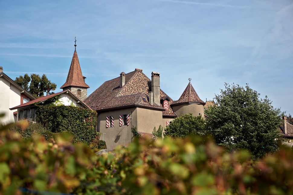 Le Château Rochefort
