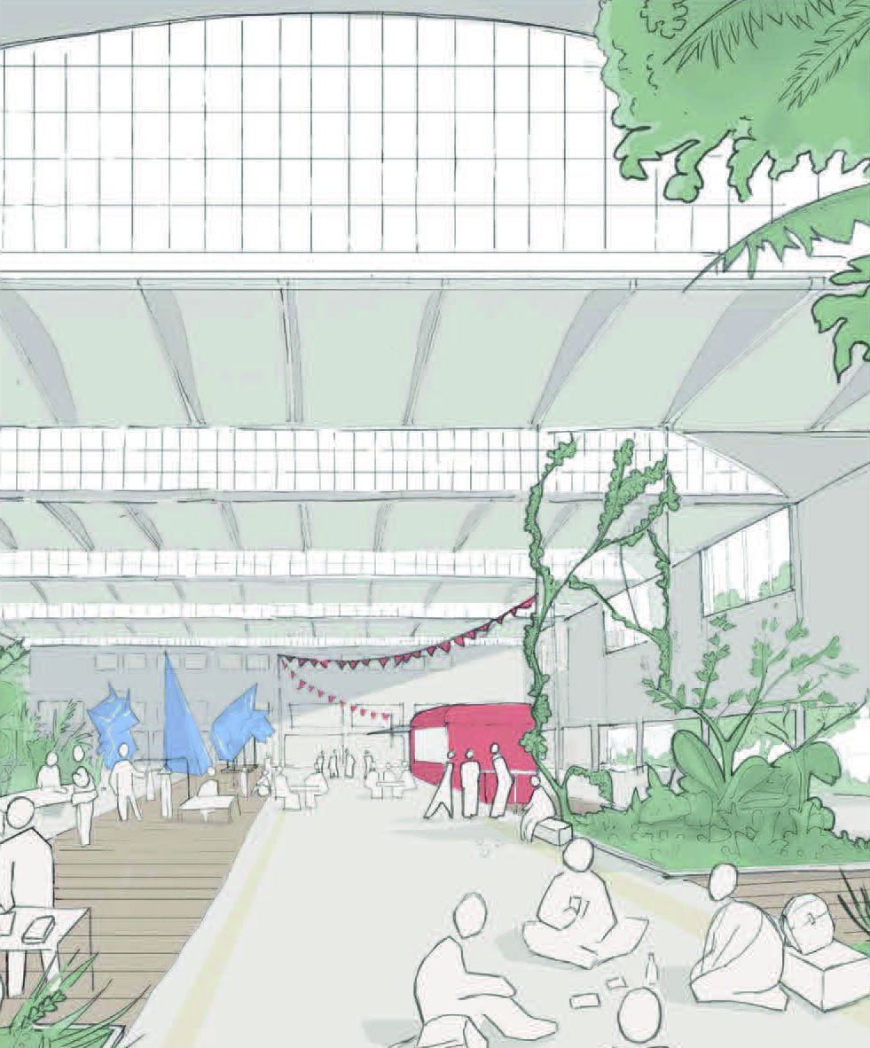 © TRIBU ARCHITECTURE