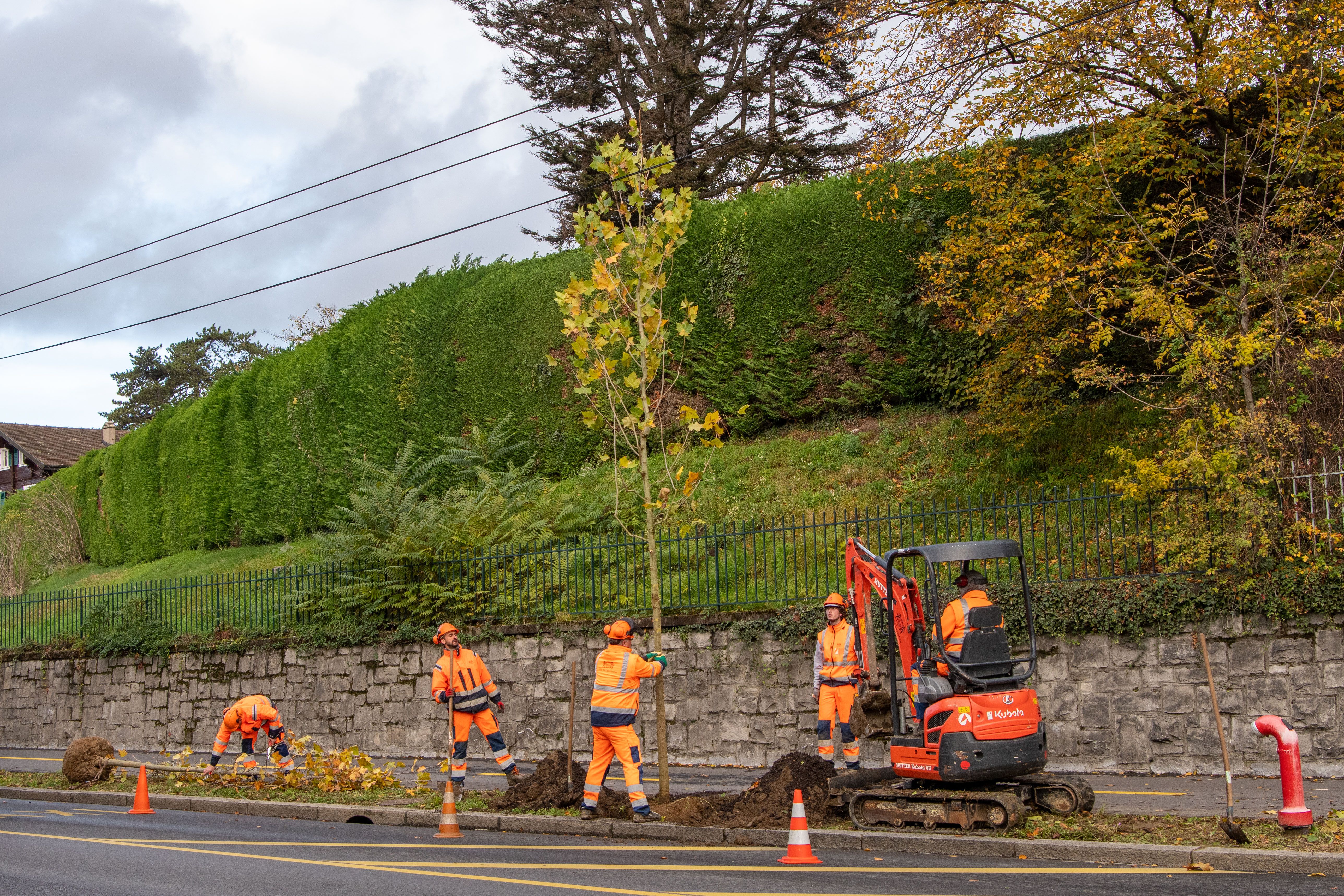 © Ville de Lausanne © Ville de Lausanne