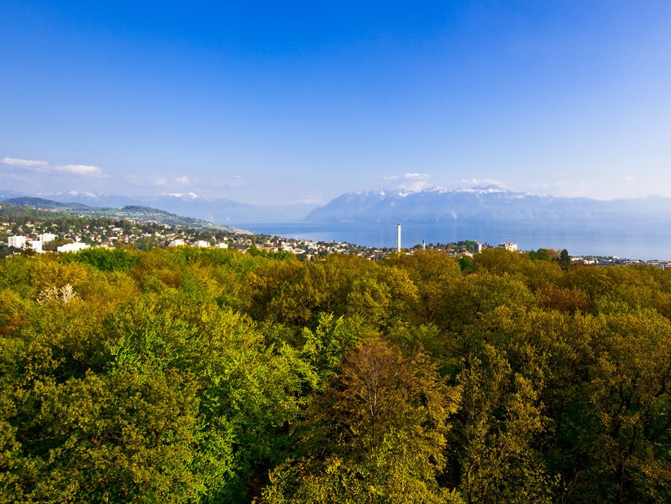 © Régis Colombo – www.diapo.ch