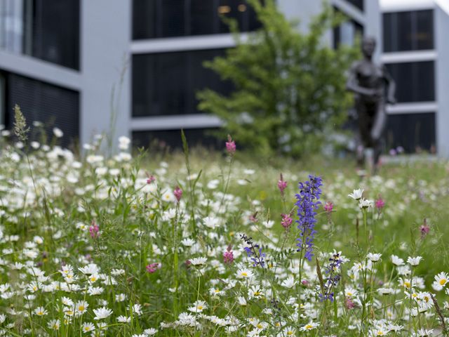 © Benoît Renevey - Ville de Lausanne