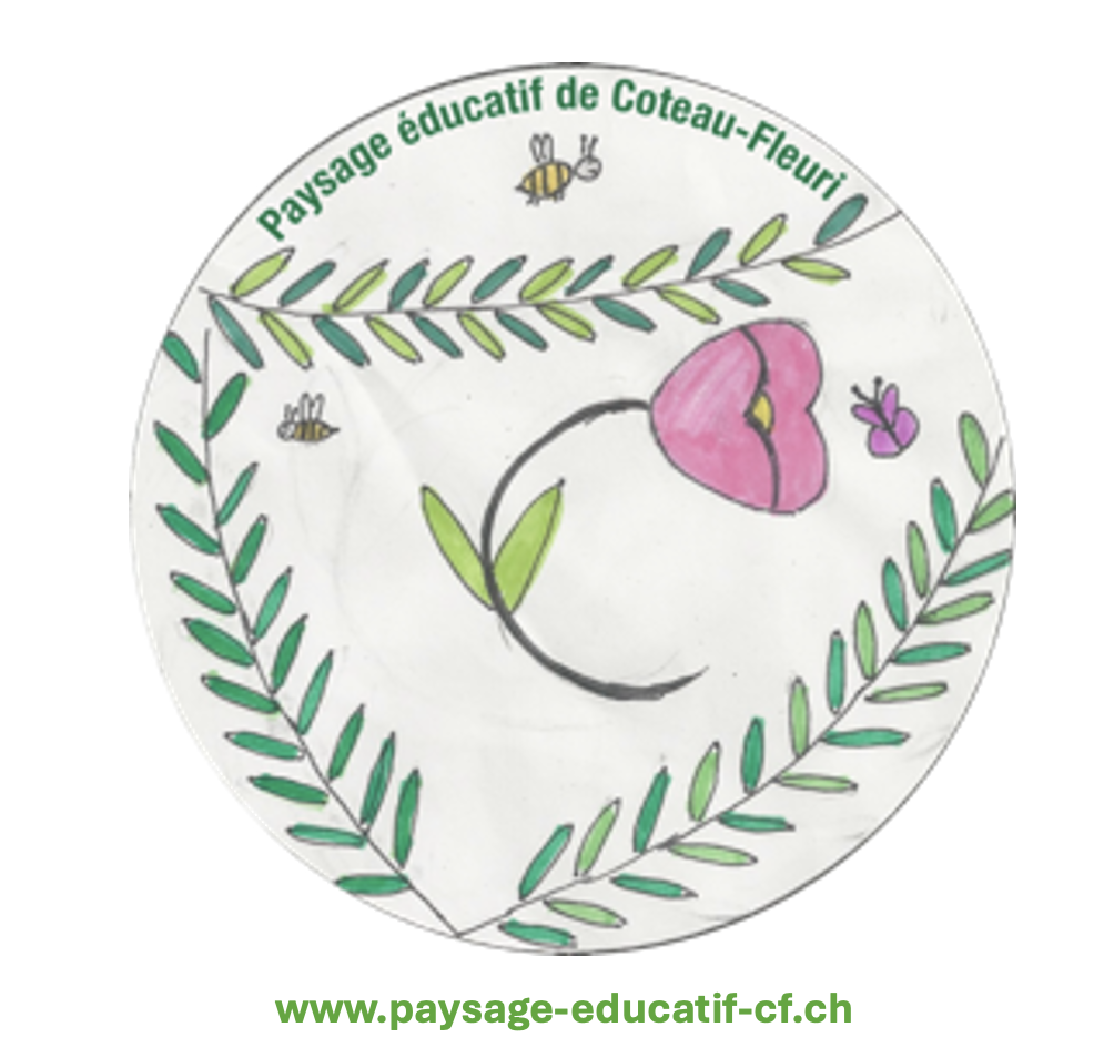 © Ville de Lausanne © Ville de Lausanne