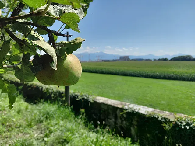 © Mathilde Imesch – Ville de Lausanne