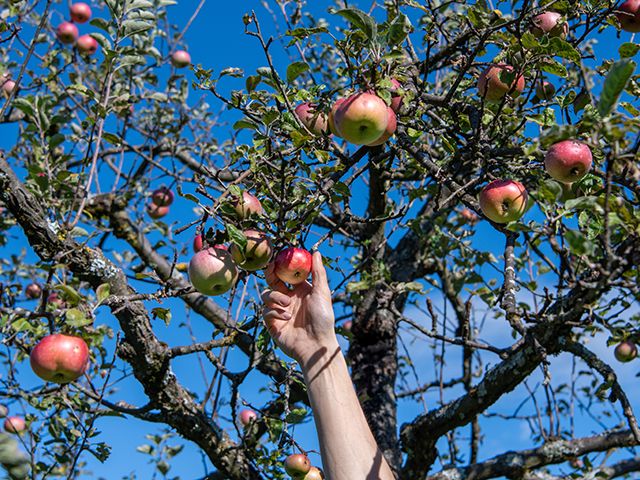 © Mathilde Imesch – Ville de Lausanne