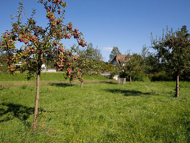 © Benoît Renevey