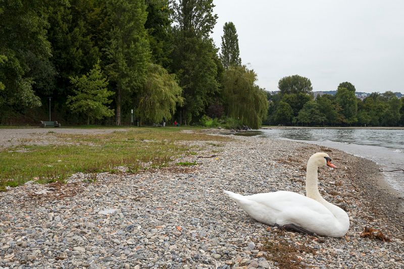 © Benoît Reveney