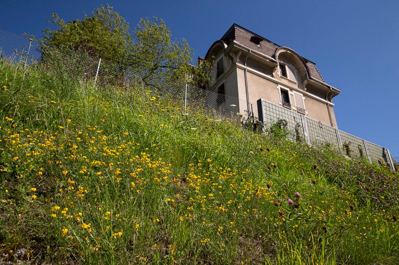 © Benoît Renevey