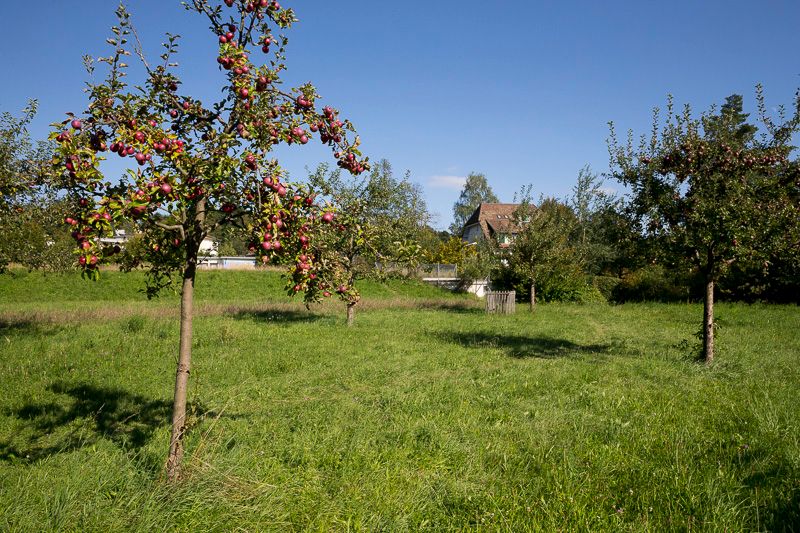 © Benoît Renevey