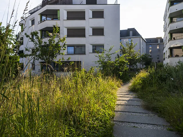 © Marino Trotta – Ville de Lausanne